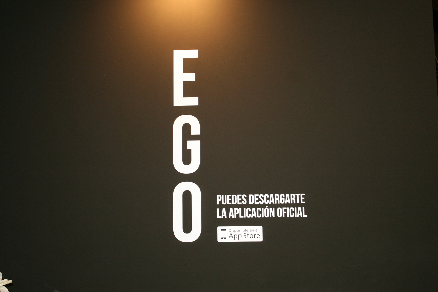 Logo_Ego